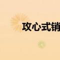 攻心式销售（关于攻心式销售简介）