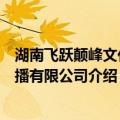 湖南飞跃颠峰文化传播有限公司（关于湖南飞跃颠峰文化传播有限公司介绍）