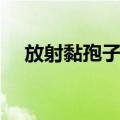 放射黏孢子虫（关于放射黏孢子虫简介）