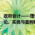 政府会计——理论、实务与案例精析（关于政府会计——理论、实务与案例精析简介）