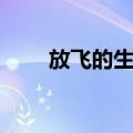 放飞的生命（关于放飞的生命简介）