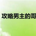 攻略男主的哥哥（关于攻略男主的哥哥简介）
