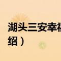 湖头三安幸福小镇（关于湖头三安幸福小镇介绍）