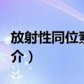 放射性同位素热源（关于放射性同位素热源简介）