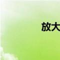 放大脚（关于放大脚简介）