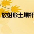 放射形土壤杆菌（关于放射形土壤杆菌简介）