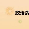 政治战略（关于政治战略简介）