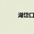 湖岱口村（关于湖岱口村介绍）
