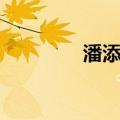 潘添新（关于潘添新介绍）