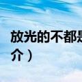 放光的不都是金子（关于放光的不都是金子简介）