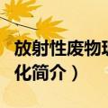 放射性废物玻璃固化（关于放射性废物玻璃固化简介）