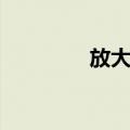 放大镜（关于放大镜简介）
