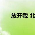 放开我 北鼻（关于放开我 北鼻简介）