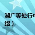 湖广等处行中书省（关于湖广等处行中书省介绍）