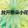 放开那朵小花花（关于放开那朵小花花简介）