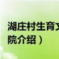 湖庄村生育文化大院（关于湖庄村生育文化大院介绍）
