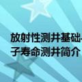 放射性测井基础与中子寿命测井（关于放射性测井基础与中子寿命测井简介）