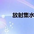 放射集水井（关于放射集水井简介）