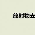 放射物去污（关于放射物去污简介）
