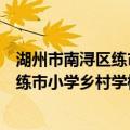 湖州市南浔区练市小学乡村学校少年宫（关于湖州市南浔区练市小学乡村学校少年宫介绍）