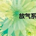 放气系统（关于放气系统简介）