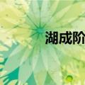 湖成阶地（关于湖成阶地介绍）