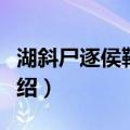 湖斜尸逐侯鞮单于（关于湖斜尸逐侯鞮单于介绍）
