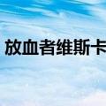 放血者维斯卡格（关于放血者维斯卡格简介）