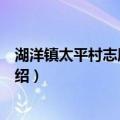 湖洋镇太平村志愿服务队（关于湖洋镇太平村志愿服务队介绍）