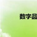 数字品牌（关于数字品牌简介）