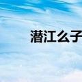 潜江么子团（关于潜江么子团介绍）