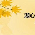 湖心亭（关于湖心亭介绍）