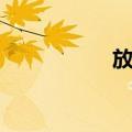 放网（关于放网简介）