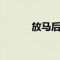 放马后炮（关于放马后炮简介）