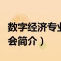 数字经济专业委员会（关于数字经济专业委员会简介）