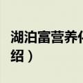 湖泊富营养化控制（关于湖泊富营养化控制介绍）