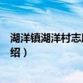湖洋镇湖洋村志愿服务队（关于湖洋镇湖洋村志愿服务队介绍）