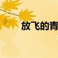 放飞的青春（关于放飞的青春简介）