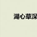湖心草深长（关于湖心草深长介绍）