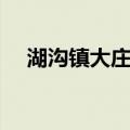 湖沟镇大庄村（关于湖沟镇大庄村介绍）