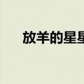 放羊的星星2（关于放羊的星星2简介）