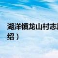 湖洋镇龙山村志愿服务队（关于湖洋镇龙山村志愿服务队介绍）