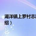 湖洋镇上罗村志愿服务队（关于湖洋镇上罗村志愿服务队介绍）