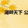 湖畔天下 公寓（关于湖畔天下 公寓介绍）