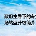 政府主导下的专业市场转型升级（关于政府主导下的专业市场转型升级简介）