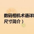 数码相机术语详解-CCD尺寸（关于数码相机术语详解-CCD尺寸简介）