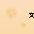 文原（关于文原简介）