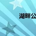 湖畔公园（关于湖畔公园介绍）