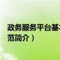 政务服务平台基本功能规范（关于政务服务平台基本功能规范简介）