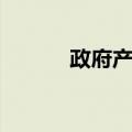 政府产权（关于政府产权简介）